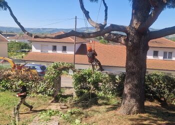 Gestion de l'entretien des espaces verts